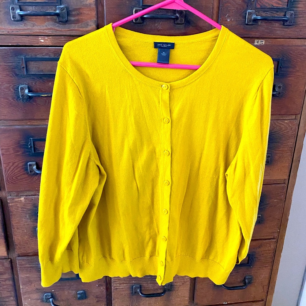 Ann Taylor cardigan